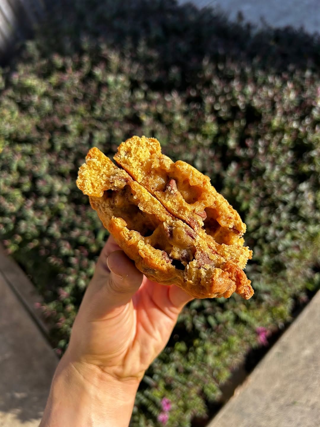 A loaded cookie held up in the sunshine